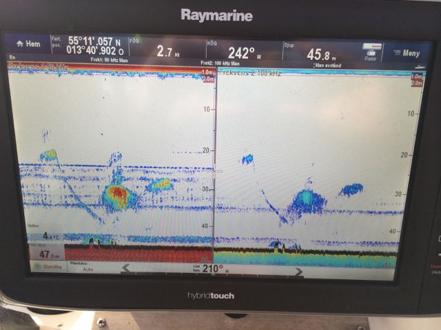 Ray 2
